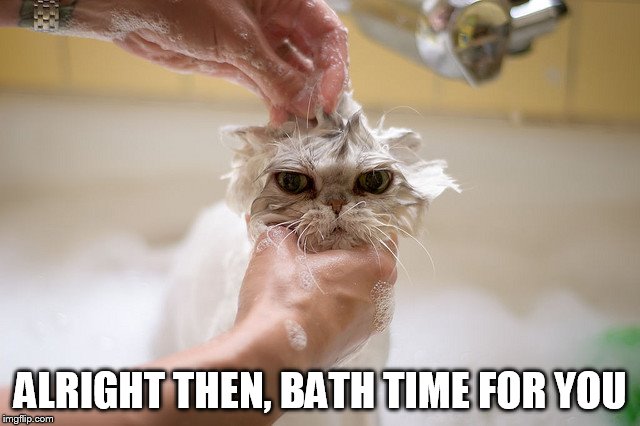 ALRIGHT THEN, BATH TIME FOR YOU | made w/ Imgflip meme maker