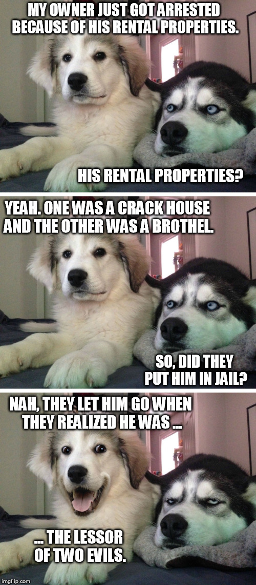 Please Re-Lease Me... | MY OWNER JUST GOT ARRESTED BECAUSE OF HIS RENTAL PROPERTIES. HIS RENTAL PROPERTIES? YEAH. ONE WAS A CRACK HOUSE AND THE OTHER WAS A BROTHEL. SO, DID THEY PUT HIM IN JAIL? NAH, THEY LET HIM GO WHEN THEY REALIZED HE WAS ... ... THE LESSOR OF TWO EVILS. | image tagged in bad pun dogs,memes,lesser of two evils,lease,rental properties | made w/ Imgflip meme maker