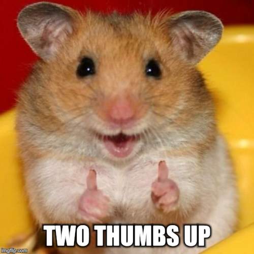 Two Thumbs Up | TWO THUMBS UP | image tagged in two thumbs up | made w/ Imgflip meme maker