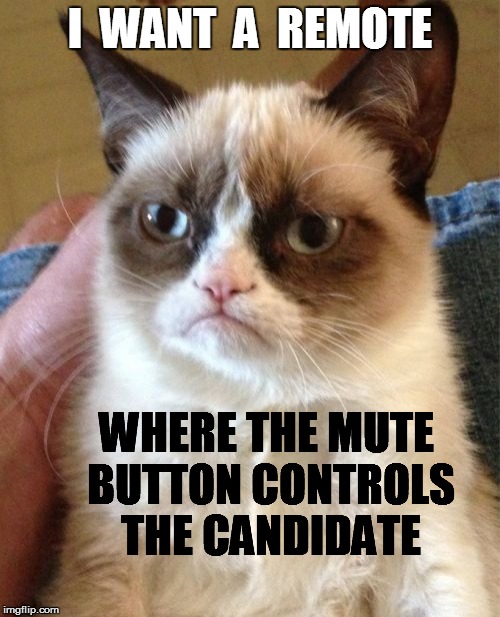 Grumpy Cat Meme | I  WANT  A  REMOTE WHERE THE MUTE BUTTON CONTROLS THE CANDIDATE | image tagged in memes,grumpy cat | made w/ Imgflip meme maker