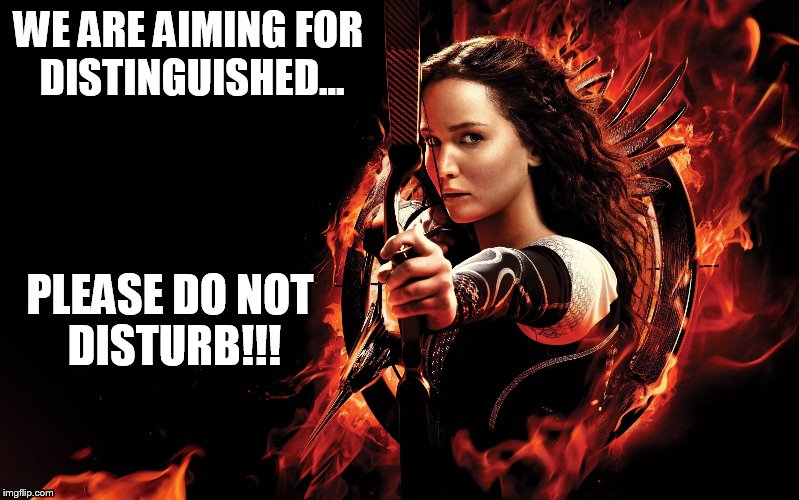 katniss hunger games | WE ARE AIMING FOR DISTINGUISHED... PLEASE DO NOT DISTURB!!! | image tagged in katniss hunger games | made w/ Imgflip meme maker