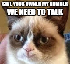 GIVE YOUR OWNER MY NUMBER WE NEED TO TALK | made w/ Imgflip meme maker
