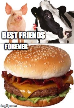 is it bad that i don't feel sorry at all for eating them?now that i think about it, no | BEST FRIENDS; FOREVER | image tagged in cow,pig,bacon cheeseburger | made w/ Imgflip meme maker