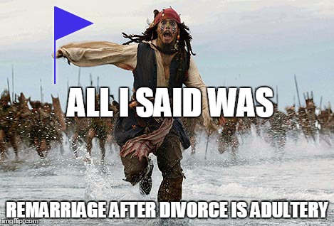Johnny Depp Flag | ALL I SAID WAS; REMARRIAGE AFTER DIVORCE IS ADULTERY | image tagged in johnny depp flag | made w/ Imgflip meme maker