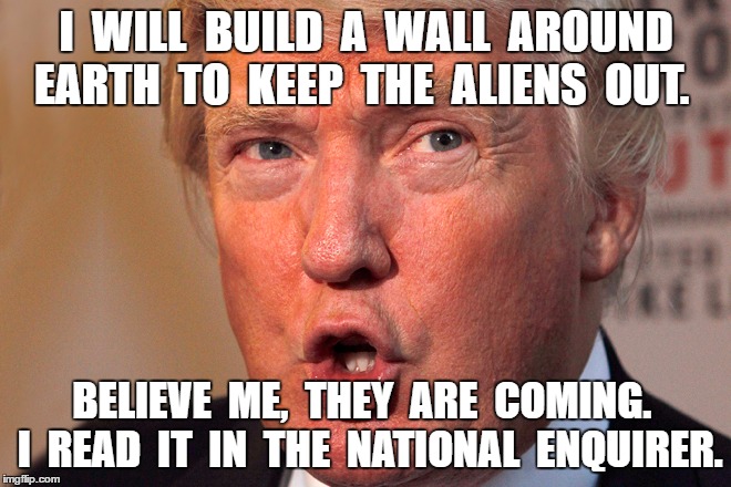 Build A Wall | I  WILL  BUILD  A  WALL  AROUND  EARTH  TO  KEEP  THE  ALIENS  OUT. BELIEVE  ME,  THEY  ARE  COMING.  I  READ  IT  IN  THE  NATIONAL  ENQUIRER. | image tagged in donald trump | made w/ Imgflip meme maker