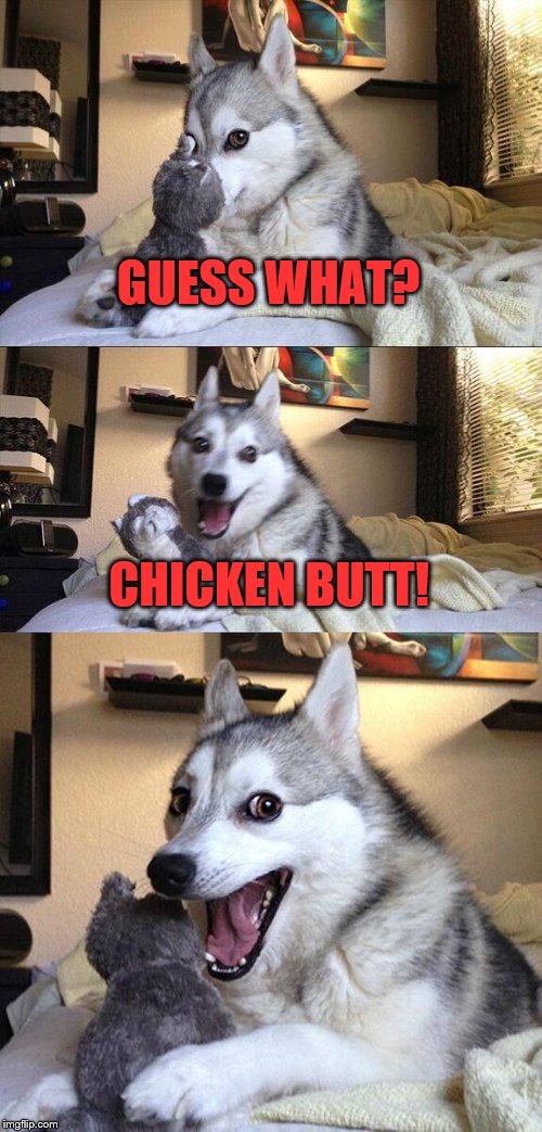Bad Pun Dog Meme | GUESS WHAT? CHICKEN BUTT! | image tagged in memes,bad pun dog | made w/ Imgflip meme maker