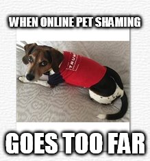 pet shaming too far | WHEN ONLINE PET SHAMING; GOES TOO FAR | image tagged in donald trump,election 2016,bernie sanders,vote bernie sanders,hillary clinton,pet shaming | made w/ Imgflip meme maker