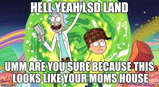 rick and morty | HELL YEAH LSD LAND; UMM ARE YOU SURE BECAUSE THIS LOOKS LIKE YOUR MOMS HOUSE | image tagged in rick and morty,scumbag | made w/ Imgflip meme maker