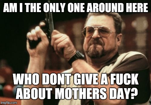 Am I The Only One Around Here Meme | AM I THE ONLY ONE AROUND HERE WHO DONT GIVE A F**K ABOUT MOTHERS DAY? | image tagged in memes,am i the only one around here | made w/ Imgflip meme maker
