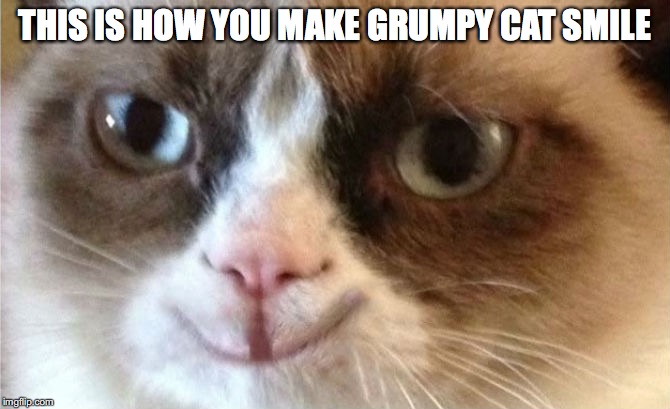 Grumpy Cat happy | THIS IS HOW YOU MAKE GRUMPY CAT SMILE | image tagged in grumpy cat happy | made w/ Imgflip meme maker