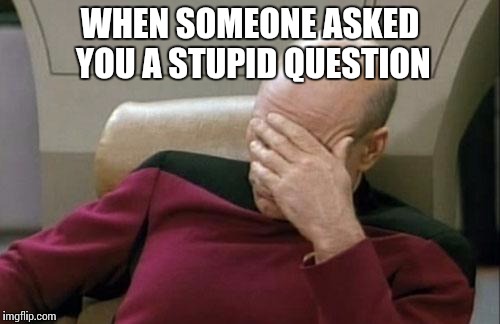 Captain Picard Facepalm | WHEN SOMEONE ASKED YOU A STUPID QUESTION | image tagged in memes,captain picard facepalm | made w/ Imgflip meme maker