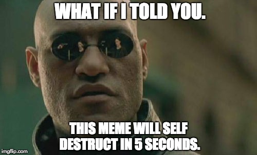 Matrix Morpheus Meme | WHAT IF I TOLD YOU. THIS MEME WILL SELF DESTRUCT IN 5 SECONDS. | image tagged in memes,matrix morpheus | made w/ Imgflip meme maker