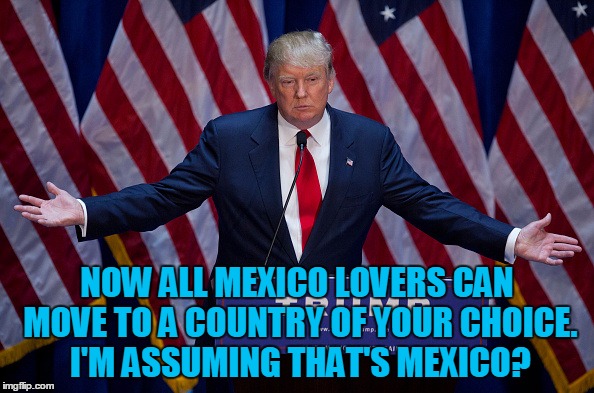 Donald Trump | NOW ALL MEXICO LOVERS CAN MOVE TO A COUNTRY OF YOUR CHOICE. I'M ASSUMING THAT'S MEXICO? | image tagged in donald trump | made w/ Imgflip meme maker