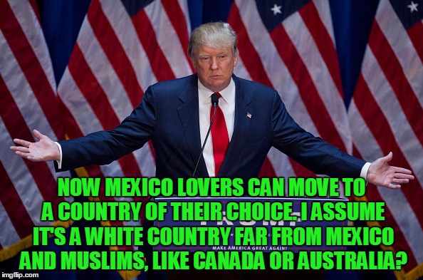 Donald Trump | NOW MEXICO LOVERS CAN MOVE TO A COUNTRY OF THEIR CHOICE. I ASSUME IT'S A WHITE COUNTRY FAR FROM MEXICO AND MUSLIMS, LIKE CANADA OR AUSTRALIA? | image tagged in donald trump | made w/ Imgflip meme maker