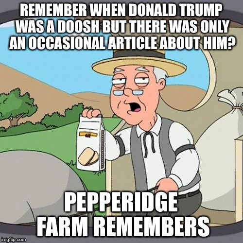 Pepperidge Farm Remembers | REMEMBER WHEN DONALD TRUMP WAS A DOOSH BUT THERE WAS ONLY AN OCCASIONAL ARTICLE ABOUT HIM? PEPPERIDGE FARM REMEMBERS | image tagged in memes,pepperidge farm remembers | made w/ Imgflip meme maker
