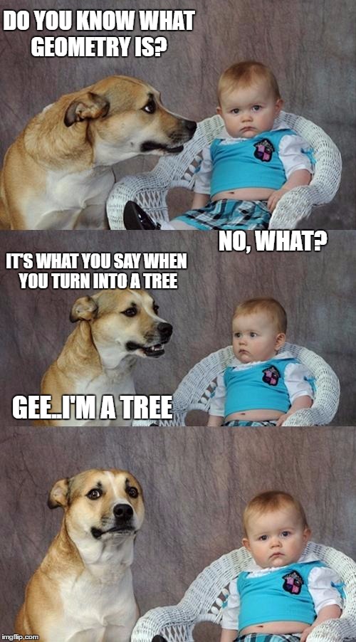 Dad Joke Dog | DO YOU KNOW WHAT GEOMETRY IS? NO, WHAT? IT'S WHAT YOU SAY WHEN YOU TURN INTO A TREE; GEE..I'M A TREE | image tagged in memes,dad joke dog | made w/ Imgflip meme maker