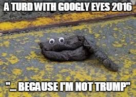 A TURD WITH GOOGLY EYES 2016; "... BECAUSE I'M NOT TRUMP" | image tagged in potus,election,trump,feelthebern | made w/ Imgflip meme maker