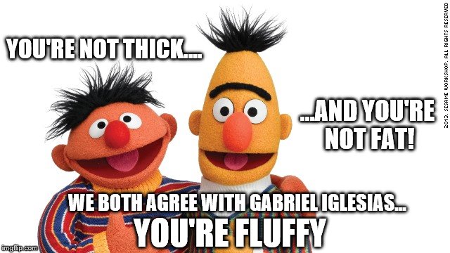 Say, Girl, Bert and Ernie think you're beautiful | YOU'RE NOT THICK.... ...AND YOU'RE NOT FAT! WE BOTH AGREE WITH GABRIEL IGLESIAS... YOU'RE FLUFFY | image tagged in bert and ernie,memes,miss piggy,funny,the muppets,fluffy | made w/ Imgflip meme maker