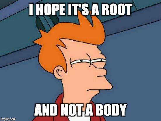 Futurama Fry Meme | I HOPE IT'S A ROOT AND NOT A BODY | image tagged in memes,futurama fry | made w/ Imgflip meme maker