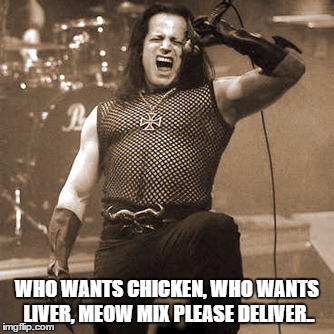 Glenn Danzig | WHO WANTS CHICKEN, WHO WANTS LIVER, MEOW MIX PLEASE DELIVER.. | image tagged in glenn danzig | made w/ Imgflip meme maker