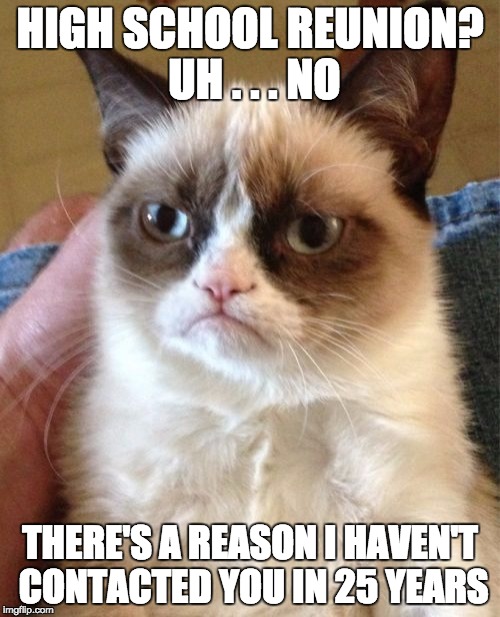 Grumpy Cat Meme | HIGH SCHOOL REUNION? UH . . . NO; THERE'S A REASON I HAVEN'T CONTACTED YOU IN 25 YEARS | image tagged in memes,grumpy cat | made w/ Imgflip meme maker