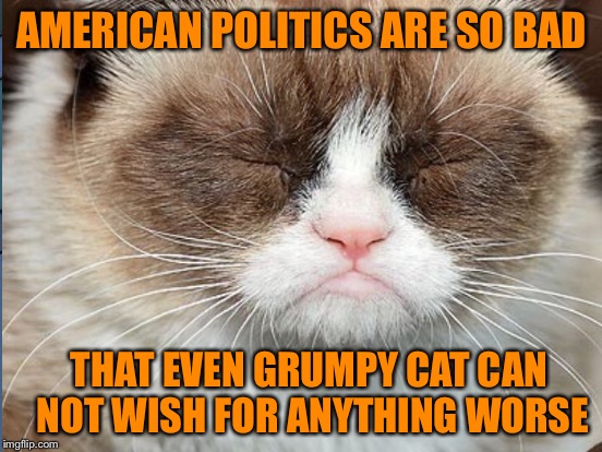 GRUMPY CAT CAN BEAR NO MORE | AMERICAN POLITICS ARE SO BAD; THAT EVEN GRUMPY CAT CAN NOT WISH FOR ANYTHING WORSE | image tagged in grumpy cat | made w/ Imgflip meme maker