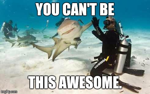 You never will. | YOU CAN'T BE; THIS AWESOME. | image tagged in awesome,shark,high five | made w/ Imgflip meme maker