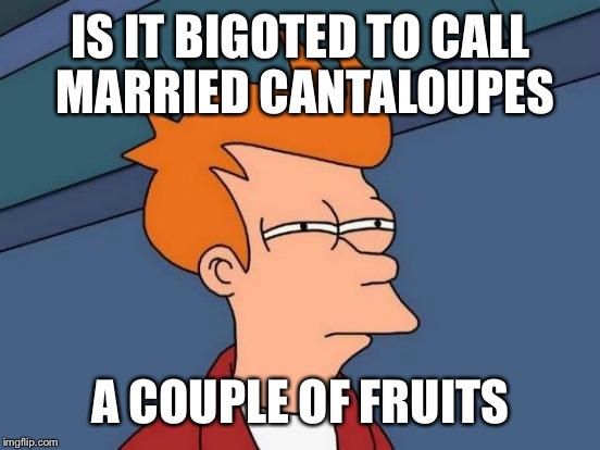 Futurama Fry Meme | IS IT BIGOTED TO CALL MARRIED CANTALOUPES A COUPLE OF FRUITS | image tagged in memes,futurama fry | made w/ Imgflip meme maker