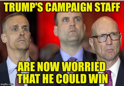 The Brilliant Mind Behind The Madness | TRUMP'S CAMPAIGN STAFF; ARE NOW WORRIED THAT HE COULD WIN | image tagged in donald trump | made w/ Imgflip meme maker
