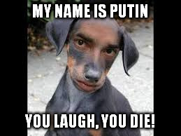 MY NAME IS PUTIN; YOU LAUGH, YOU DIE! | image tagged in funny dogs | made w/ Imgflip meme maker