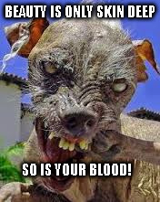 BEAUTY IS ONLY SKIN DEEP; SO IS YOUR BLOOD! | image tagged in bad joke dog | made w/ Imgflip meme maker
