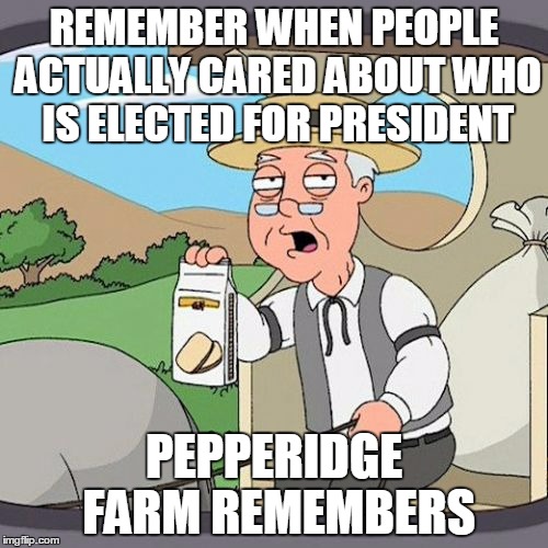 Forgetfulness | REMEMBER WHEN PEOPLE ACTUALLY CARED ABOUT WHO IS ELECTED FOR PRESIDENT; PEPPERIDGE FARM REMEMBERS | image tagged in memes,pepperidge farm remembers,2016 election | made w/ Imgflip meme maker