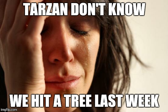 First World Problems Meme | TARZAN DON'T KNOW WE HIT A TREE LAST WEEK | image tagged in memes,first world problems | made w/ Imgflip meme maker