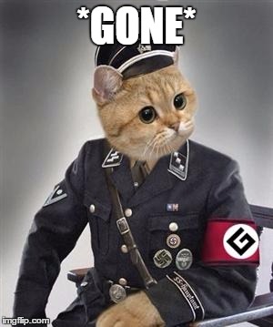 grammar nazi cat | *GONE* | image tagged in grammar nazi cat | made w/ Imgflip meme maker
