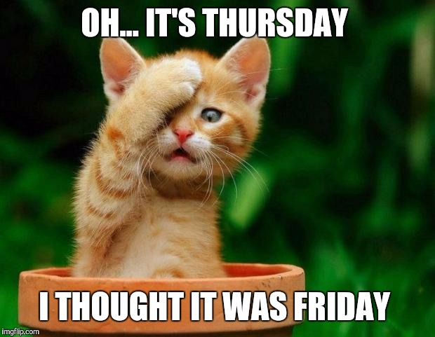 Cat Oh Man | OH... IT'S THURSDAY; I THOUGHT IT WAS FRIDAY | image tagged in cat oh man | made w/ Imgflip meme maker