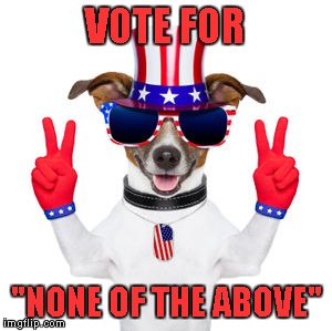 VOTE FOR "NONE OF THE ABOVE" | made w/ Imgflip meme maker
