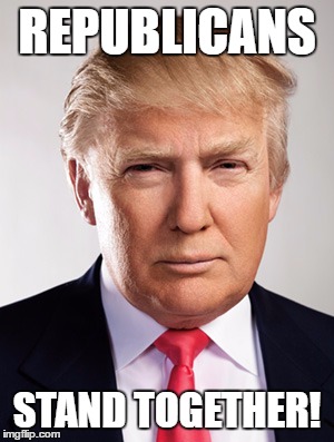 Donald Trump | REPUBLICANS; STAND TOGETHER! | image tagged in donald trump | made w/ Imgflip meme maker