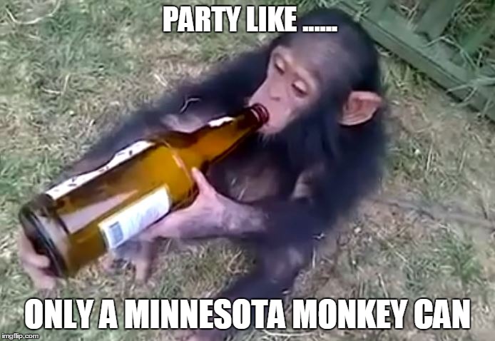 Monkey on booze | PARTY LIKE ...... ONLY A MINNESOTA MONKEY CAN | image tagged in monkey on booze | made w/ Imgflip meme maker