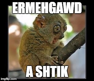monkey with stick |  ERMEHGAWD; A SHTIK | image tagged in monkey with stick,memes | made w/ Imgflip meme maker