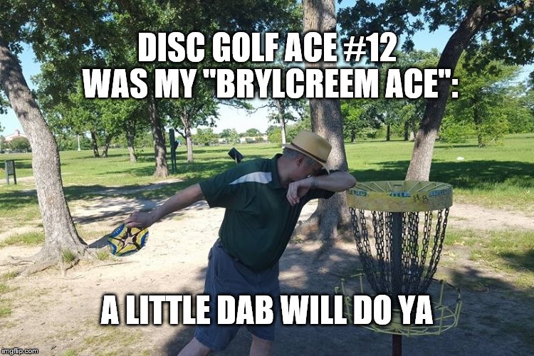 DISC GOLF ACE #12 WAS MY "BRYLCREEM ACE":; A LITTLE DAB WILL DO YA | image tagged in a little dab will do ya | made w/ Imgflip meme maker
