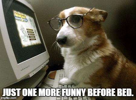 Smart Dog | JUST ONE MORE FUNNY BEFORE BED. | image tagged in smart dog | made w/ Imgflip meme maker