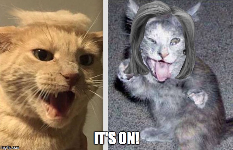 A Cat Fight For The Ages | IT'S ON! | image tagged in trump,clinton,hillary,the donald | made w/ Imgflip meme maker