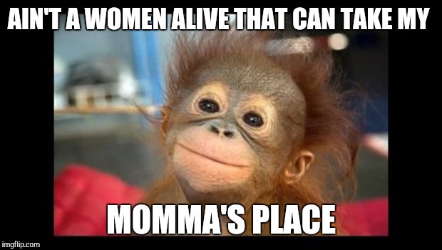 monkey fucks | AIN'T A WOMEN ALIVE THAT CAN TAKE MY; MOMMA'S PLACE | image tagged in monkey fucks | made w/ Imgflip meme maker