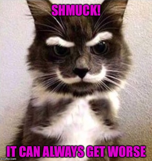 SHMUCK! IT CAN ALWAYS GET WORSE | made w/ Imgflip meme maker