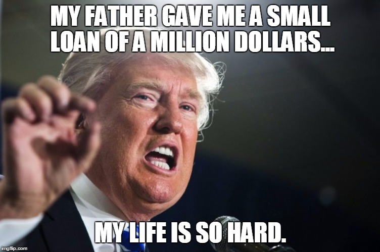 donald trump | MY FATHER GAVE ME A SMALL LOAN OF A MILLION DOLLARS... MY LIFE IS SO HARD. | image tagged in donald trump | made w/ Imgflip meme maker
