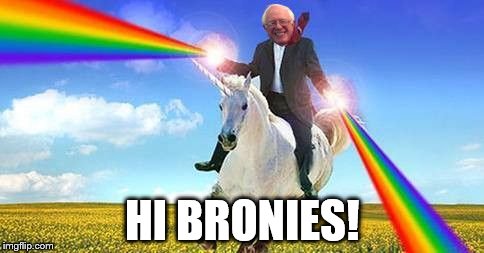 Bernie Sanders on magical unicorn | HI BRONIES! | image tagged in bernie sanders on magical unicorn | made w/ Imgflip meme maker