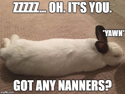 Sleepy Bunny | ZZZZZ... OH. IT'S YOU. *YAWN*; GOT ANY NANNERS? | image tagged in bunny,rabbits,treats,sleepy | made w/ Imgflip meme maker