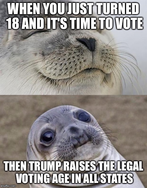 Short Satisfaction VS Truth | WHEN YOU JUST TURNED 18 AND IT'S TIME TO VOTE; THEN TRUMP RAISES THE LEGAL VOTING AGE IN ALL STATES | image tagged in memes,short satisfaction vs truth | made w/ Imgflip meme maker