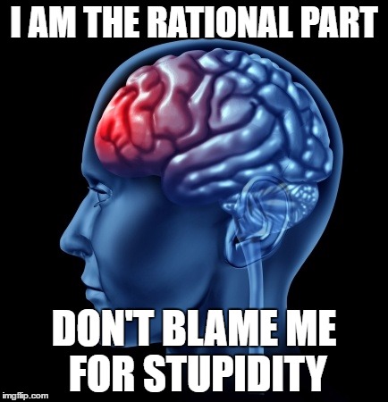 I AM THE RATIONAL PART; DON'T BLAME ME FOR STUPIDITY | made w/ Imgflip meme maker