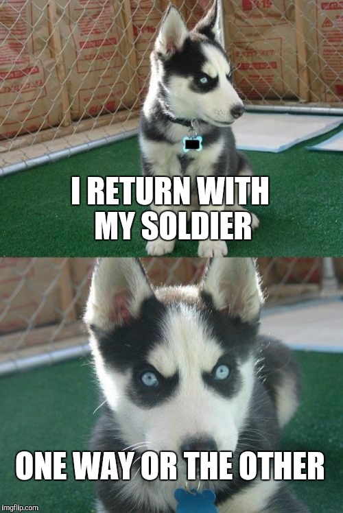 Salute to the K-9 Corps | I RETURN WITH MY SOLDIER; ONE WAY OR THE OTHER | image tagged in memes,insanity puppy | made w/ Imgflip meme maker